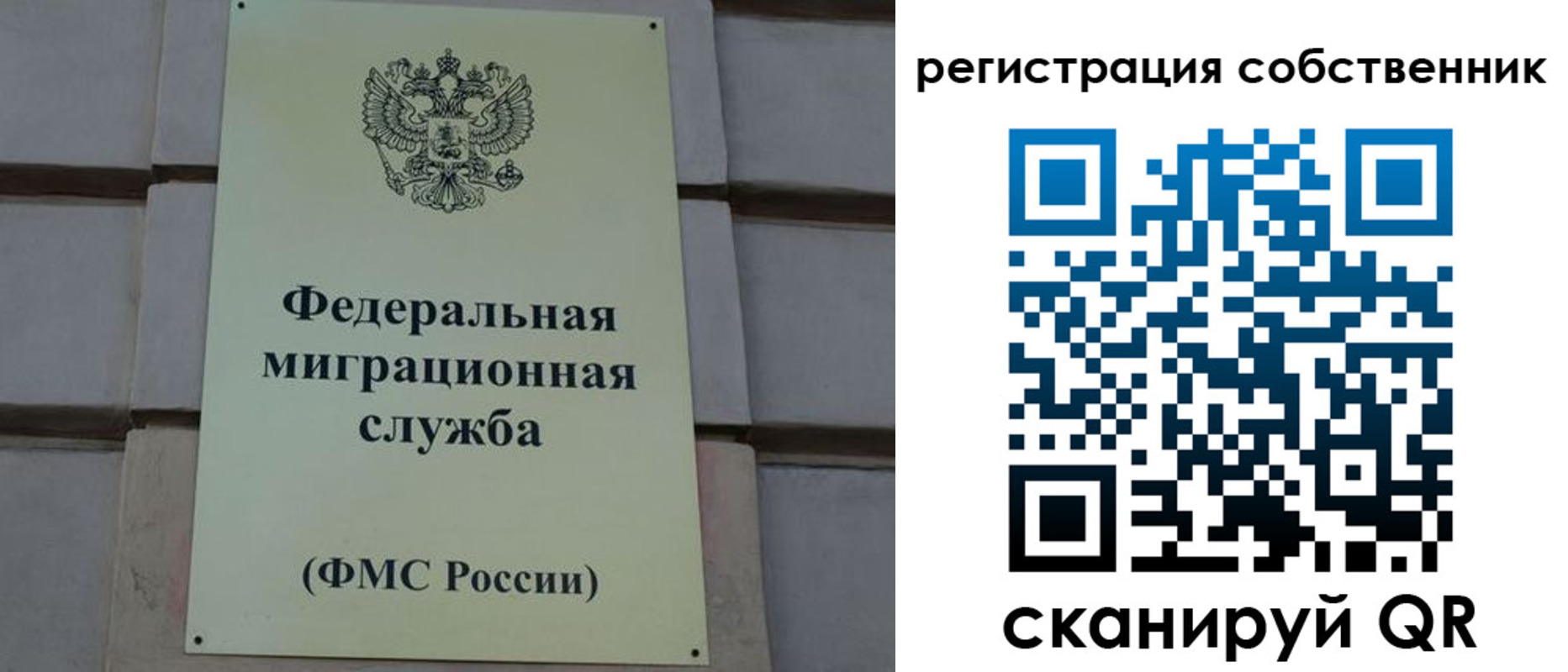 прописка гарантия в Новосибирской области